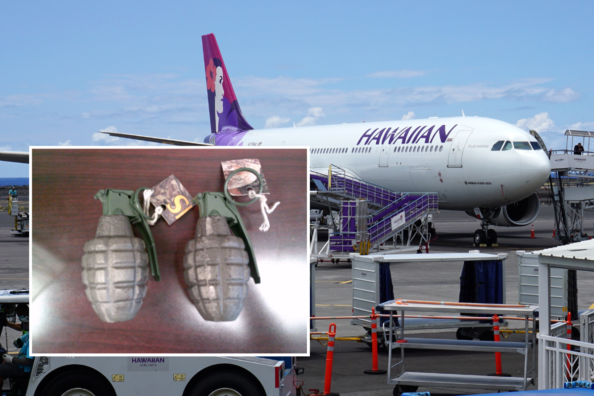 a plane with a couple of grenade shaped objects