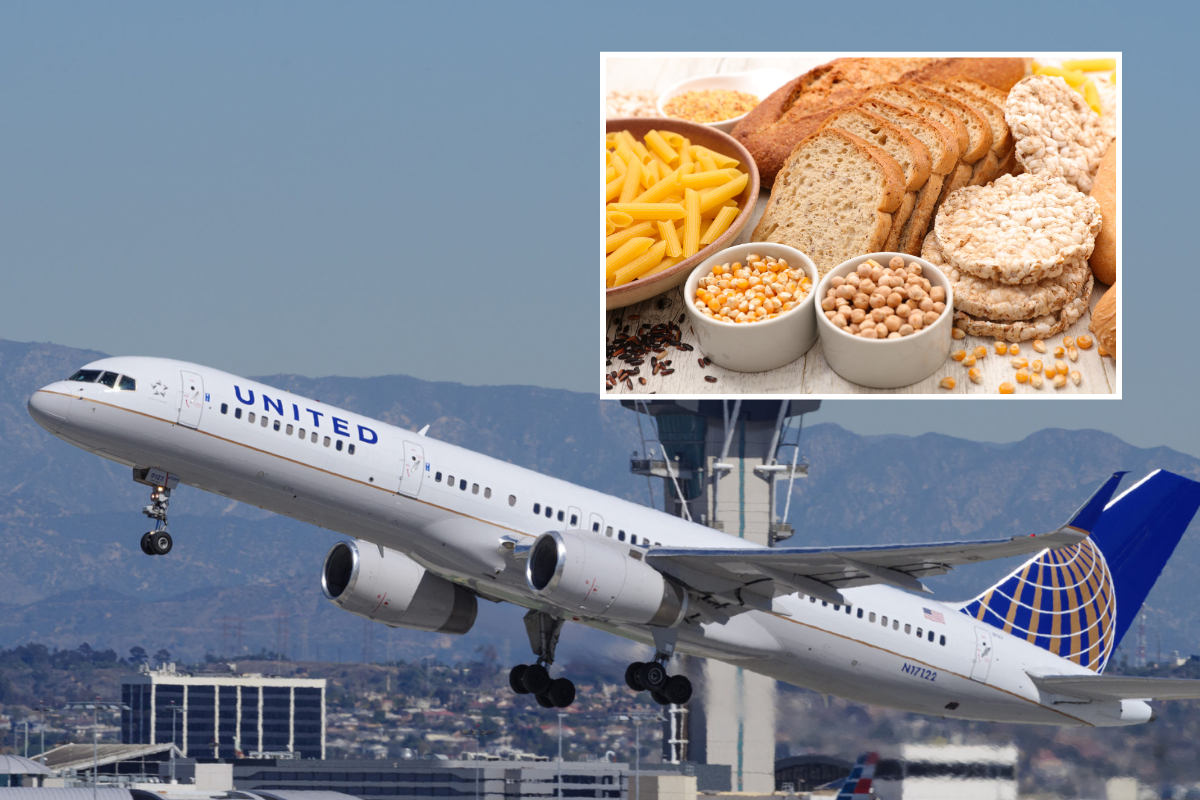 Pilot suffering from celiac disease sues United Airlines because the Chicago-based airline did not offer him a gluten-free meal