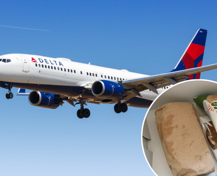 a plane flying in the sky with food and a sandwich