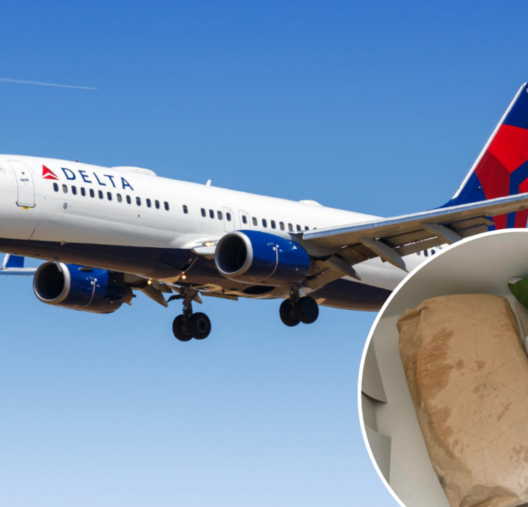 a plane flying in the sky with food and a sandwich