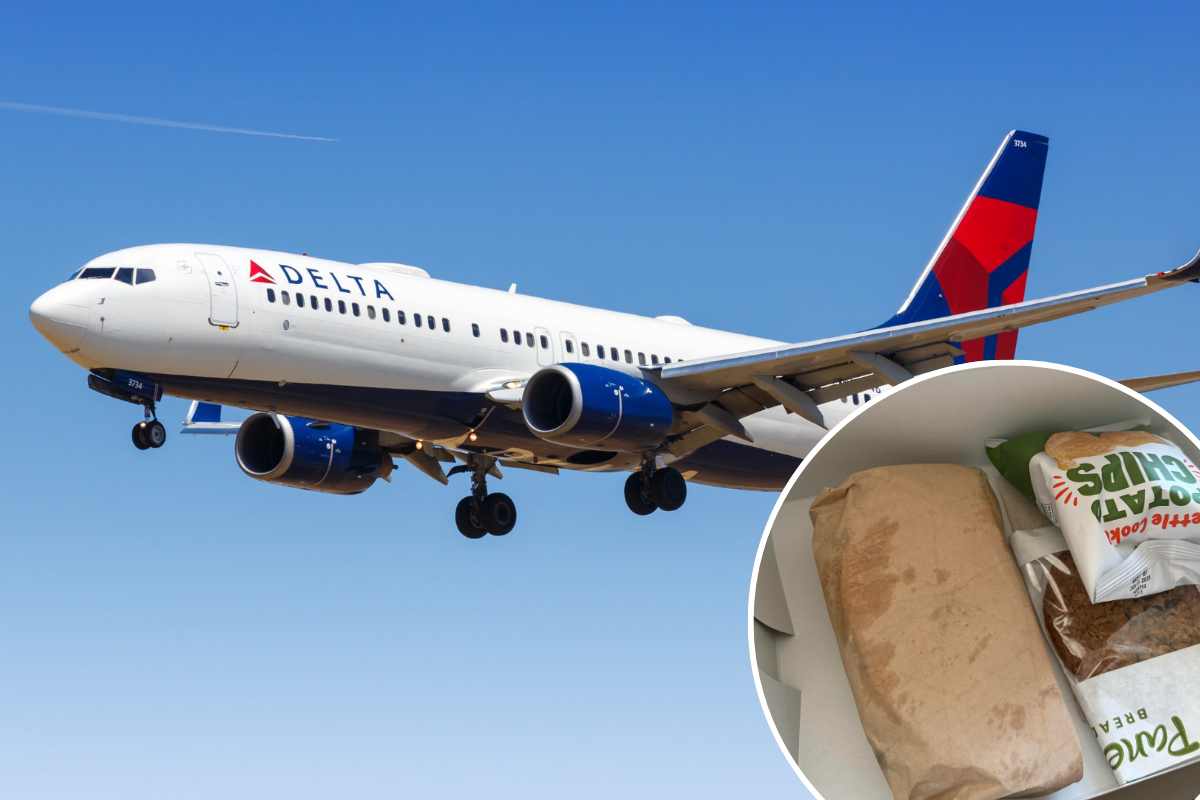 a plane flying in the sky with food and a sandwich