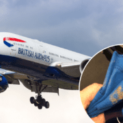 a blue and white airplane with a blue cloth from the ground